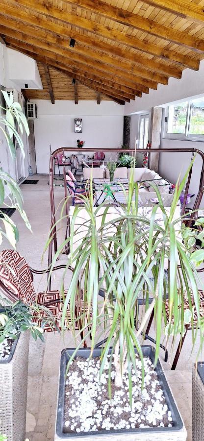 Apartmani Budimcic تريبينيي المظهر الخارجي الصورة